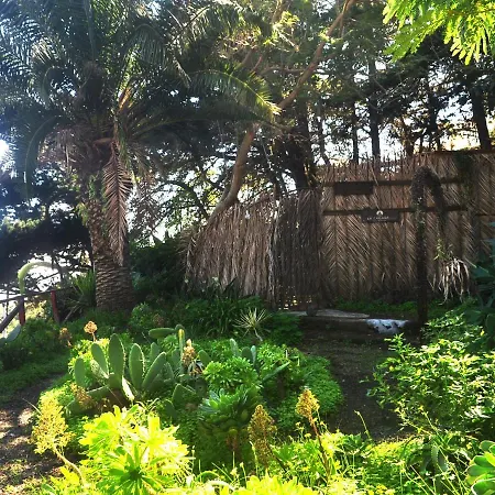 Tente de luxe Mazo The Glamping Lodero