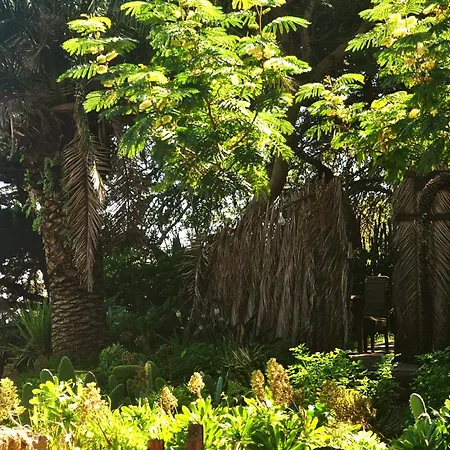 Mazo The Glamping Lodero