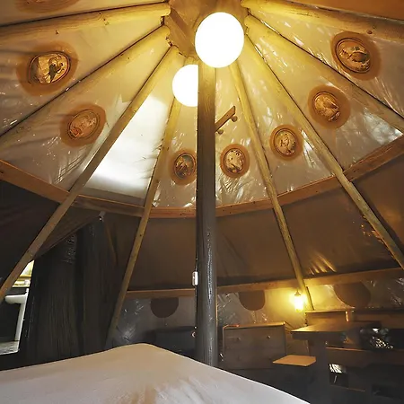 Mazo The Glamping Lodero
