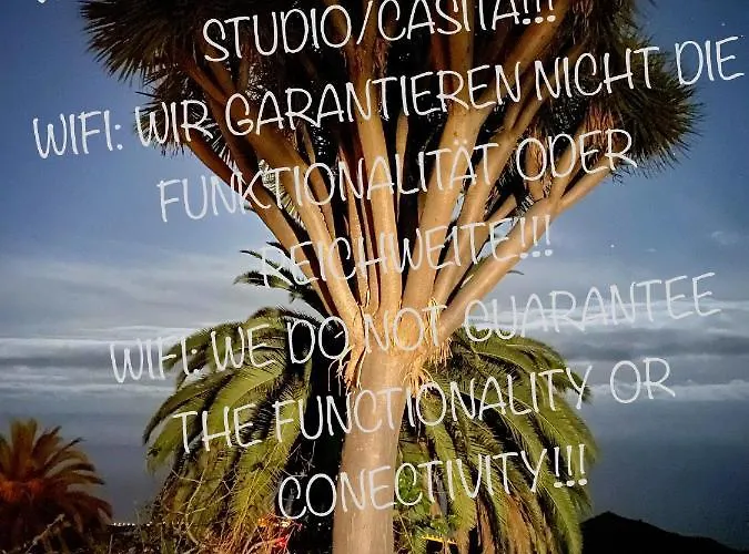 Tente de luxe Mazo The Glamping Lodero