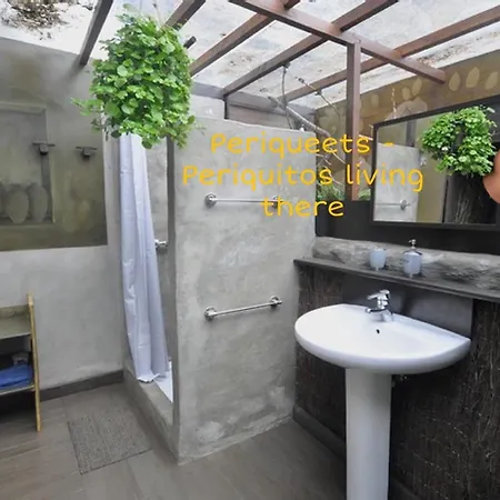 Mazo The Glamping Luxury tent *