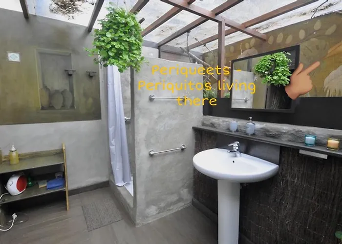 Mazo The Glamping Luxussátor *