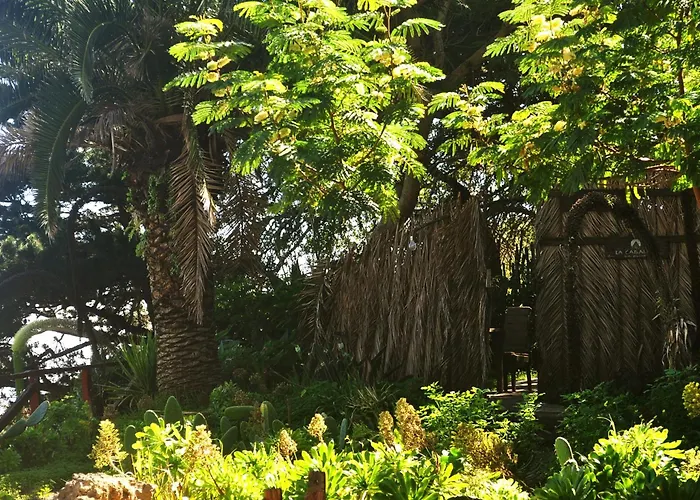 Mazo The Glamping Lodero